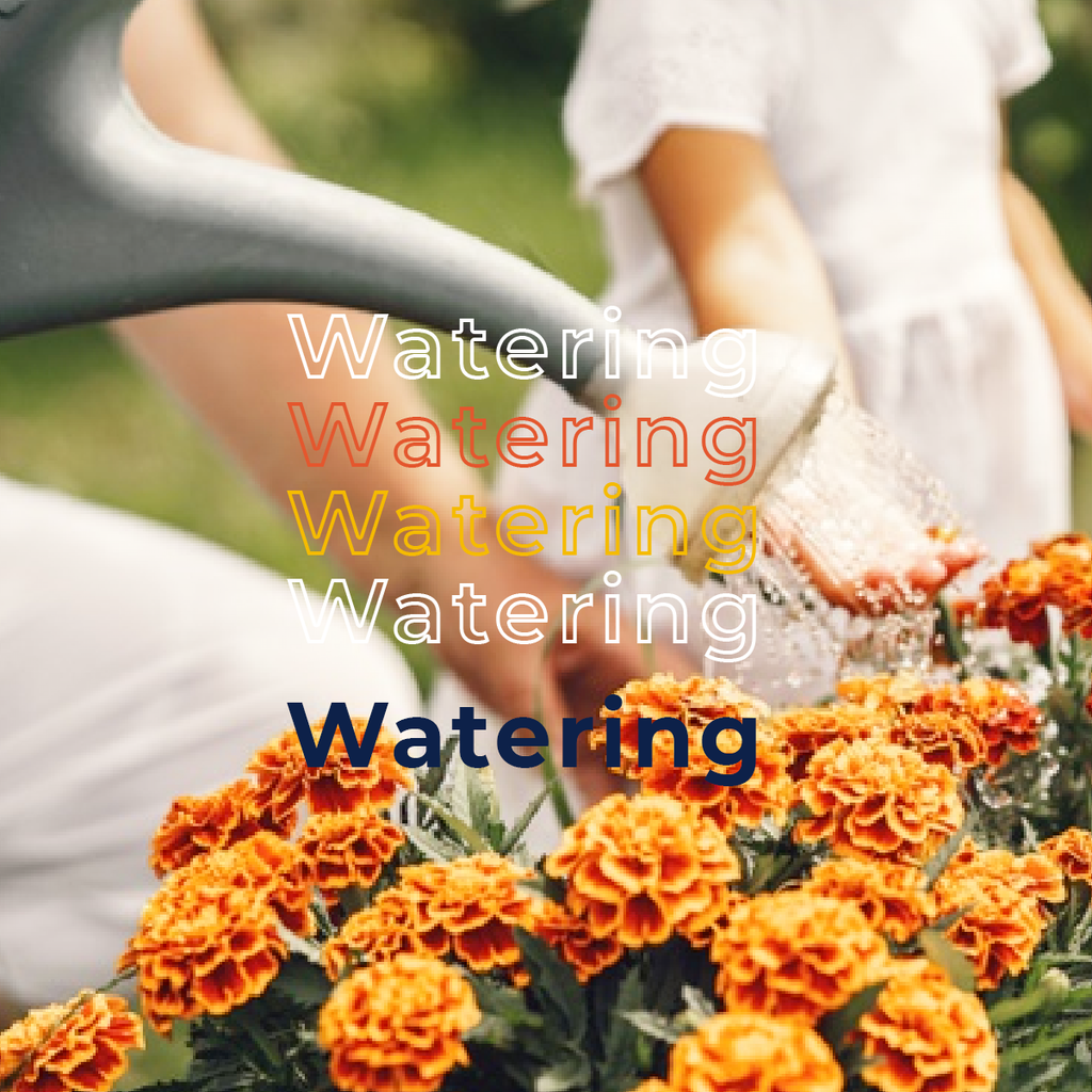 Gardening Supplies - Watering