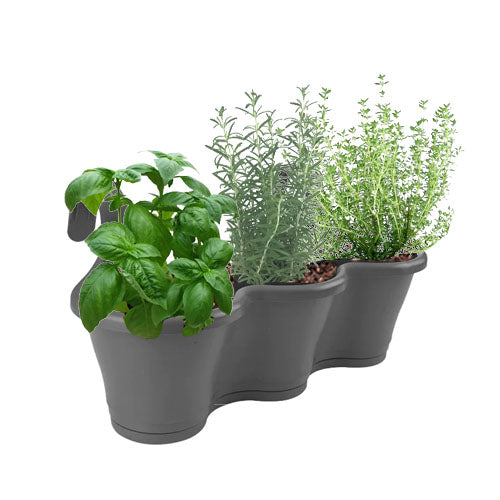 Chef's Choice Herbs in Anthracite Corsica Easy Hanger Trio