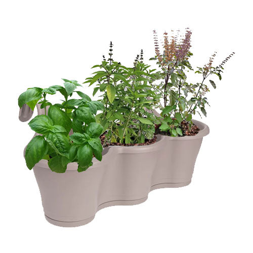 Basil Trio in Taupe Corsica Easy Hanger