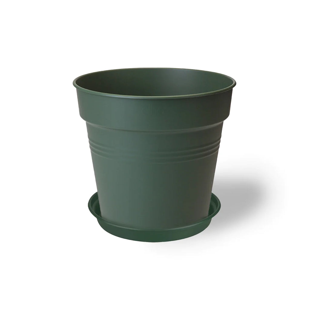 Green Basics Growpot 15cm in Leaf Green with 14cm Saucer
