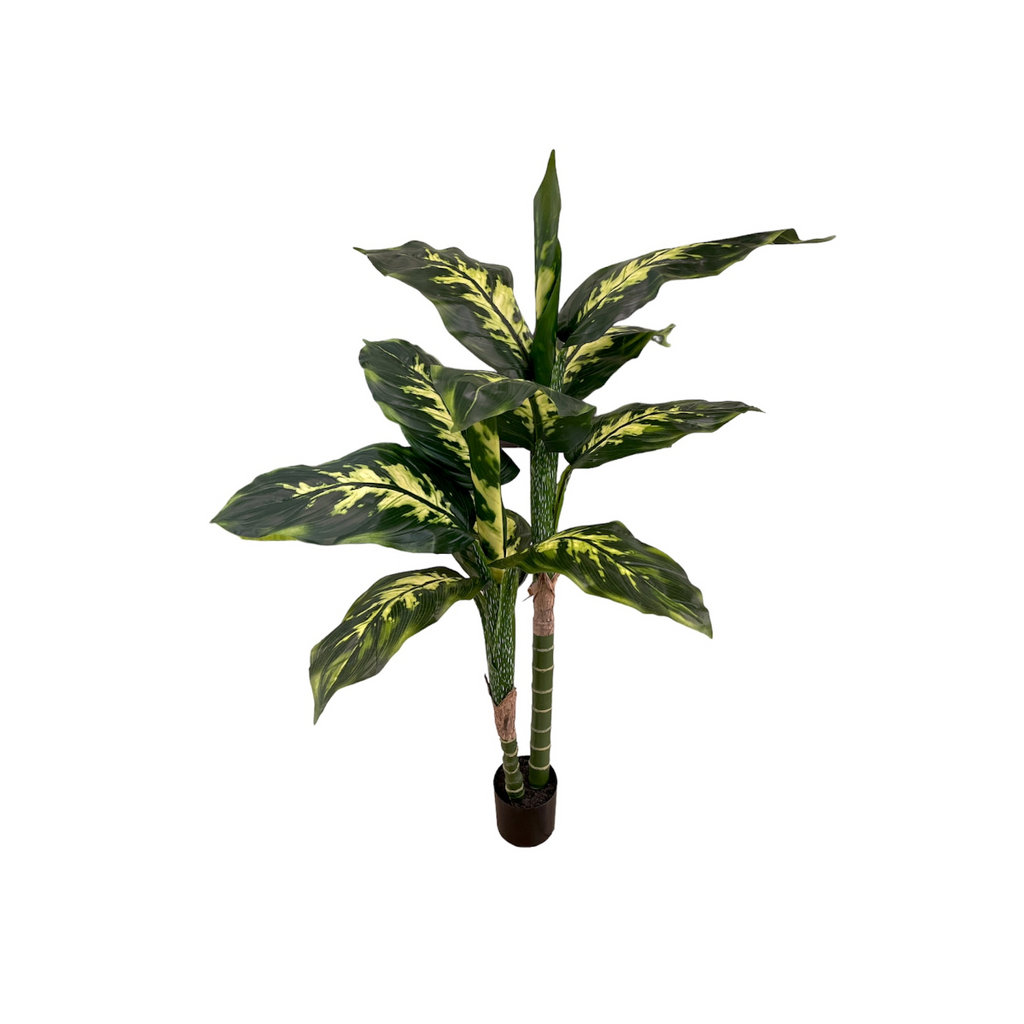 Artificial Dieffenbachia Plant, 2-Stem (1.22m/ 4ft)