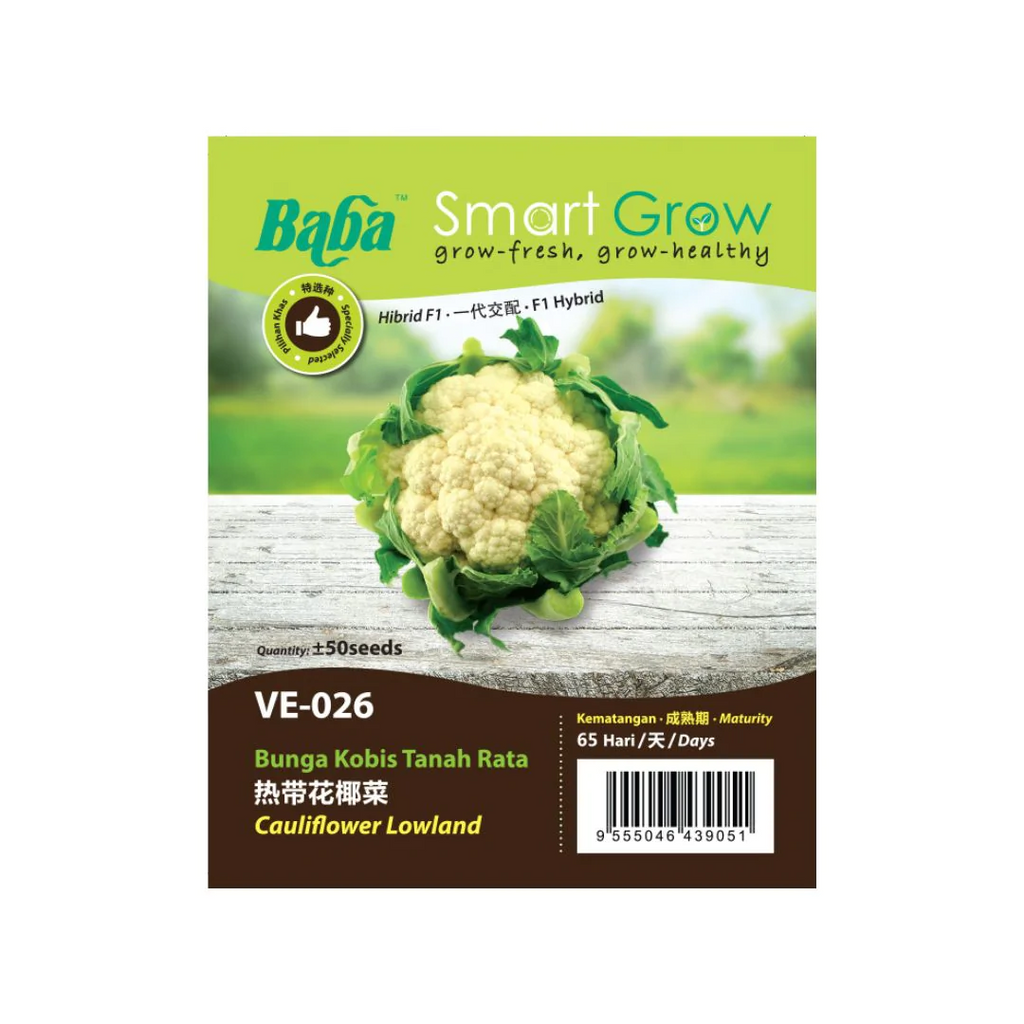 BABA Seed VE-026 Cauliflower Lowland