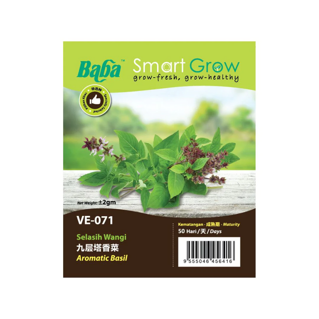 BABA Seed VE-071 Aromatic Basil