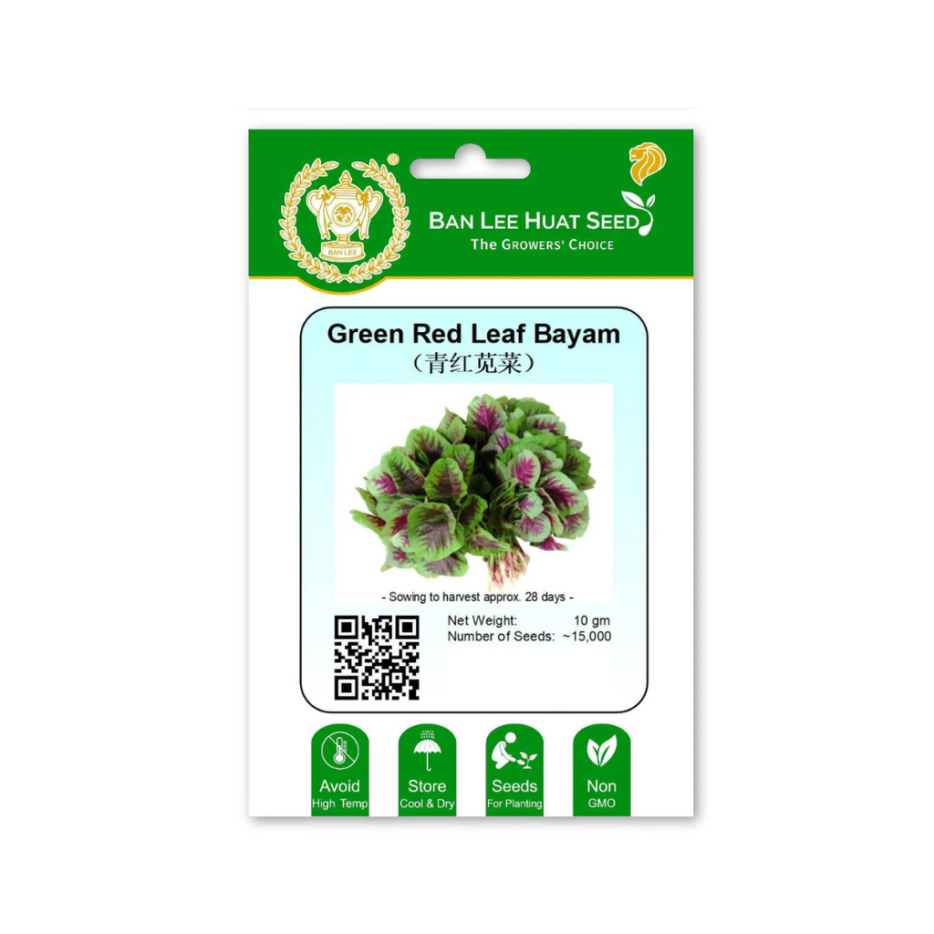 BAN LEE HUAT Seed HC06 Green Red Leaf Bayam