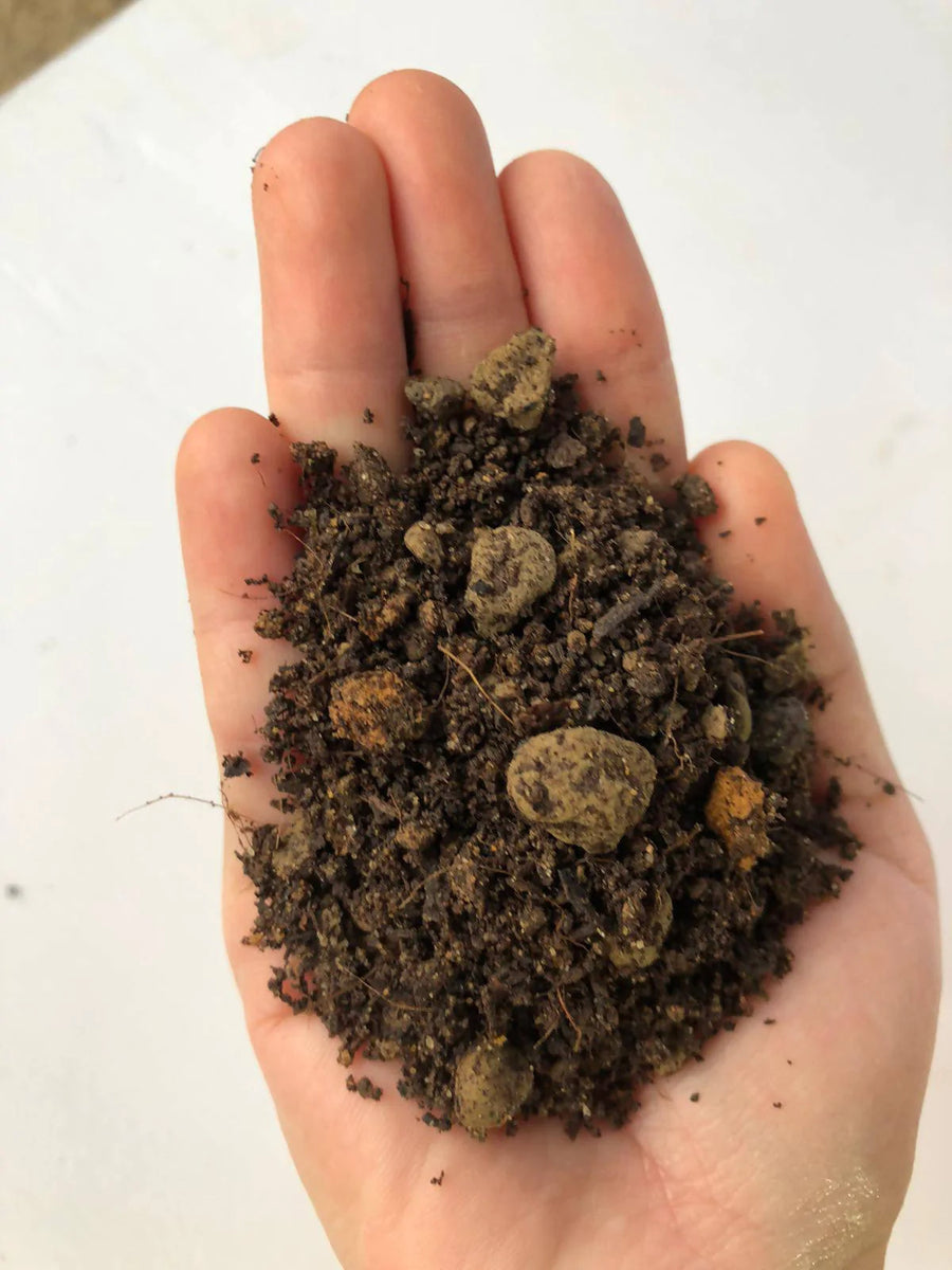 【送無】GREAT MIX CULTURE SOIL【M】30L 3mm〜9mm 送無】GREAT MIX CULTURE SOIL【M】30L 3mm〜9mm Soil Mix B (3 X