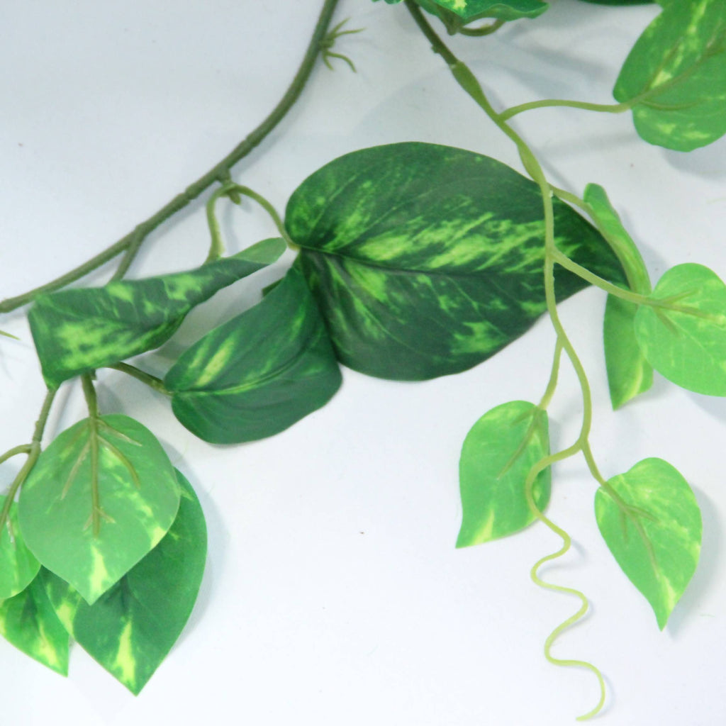Artificial Green Stem Money Plant Garland (1.8m) x 2pc
