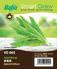 BABA Seed VE-065 Special Celtuce