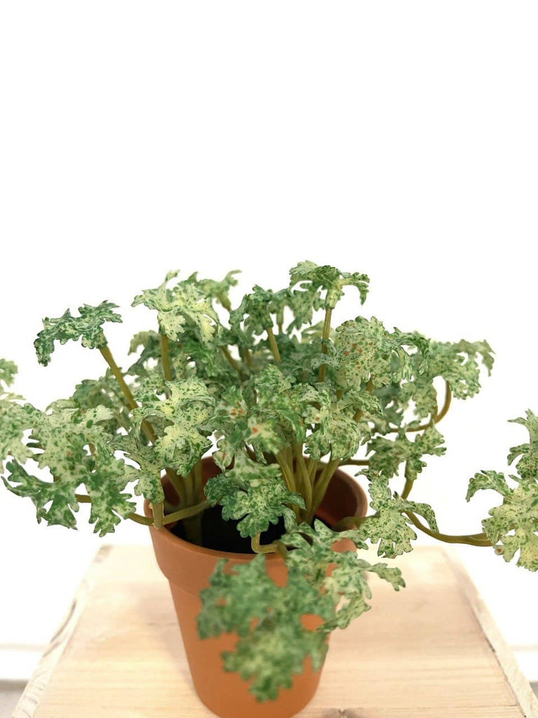 Artificial Potted Parsley (0.15m)
