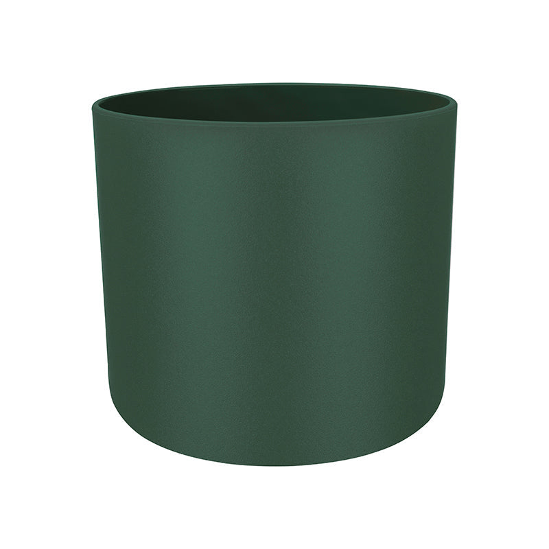 Syngonium 'Milk Confetti' in Leaf Green B For Soft Round 18cm (0.3m)