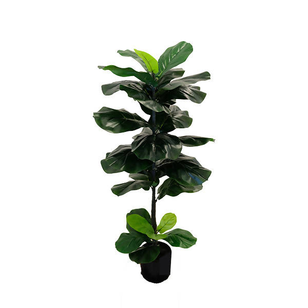 Artificial Ficus Lyrata (1.10m)