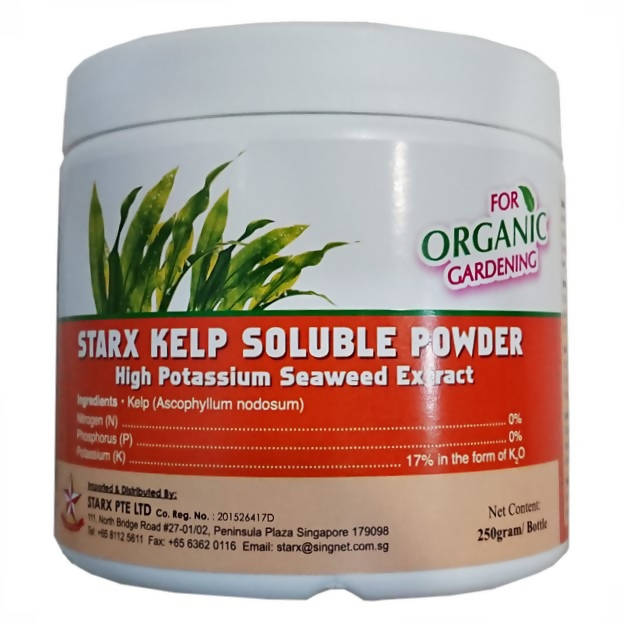 Soluble Kelp Powder (250g)