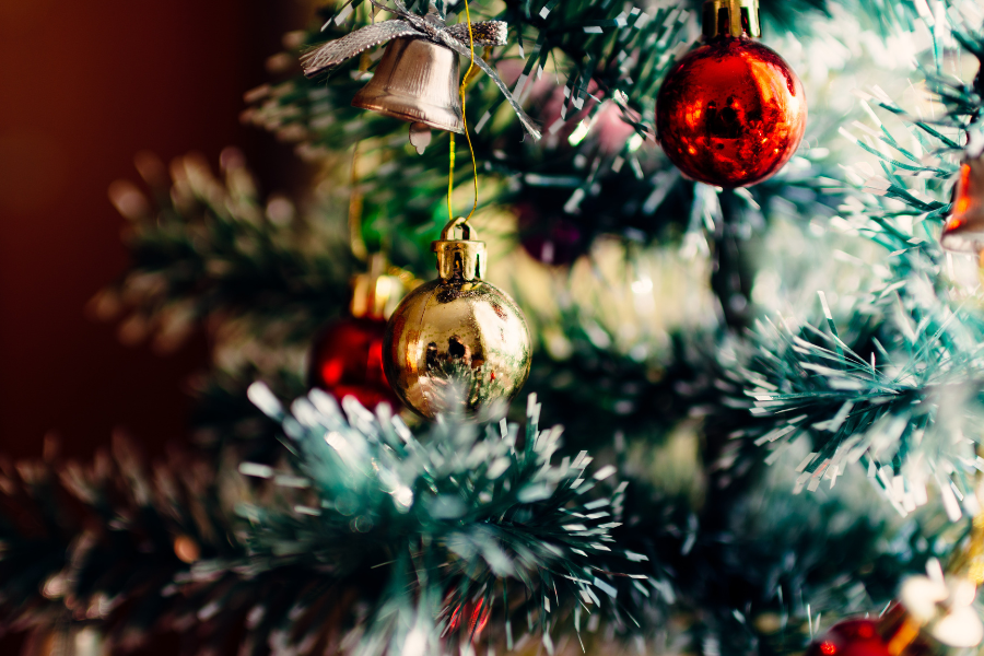 Embrace the Sustainable Spirit of Christmas: Eco-Friendly Alternatives to Chopped Fir Trees