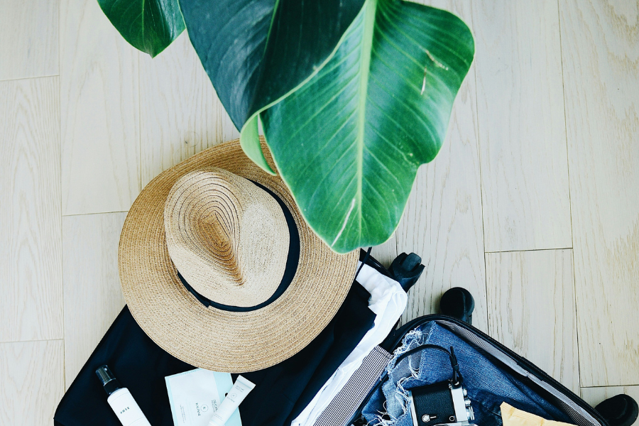 Happy, Healthy Plants While You're Away: Essential Tips for Plant Care During Your Holiday Travels