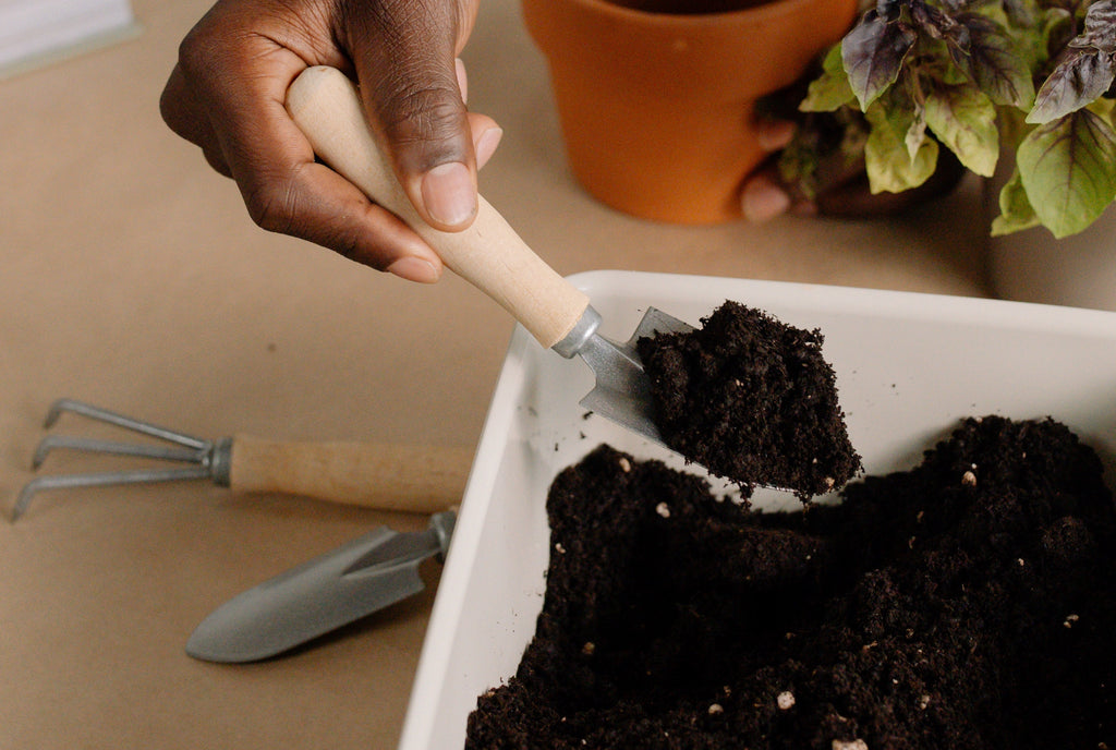 Noah's Guide: Soilless Potting Mix