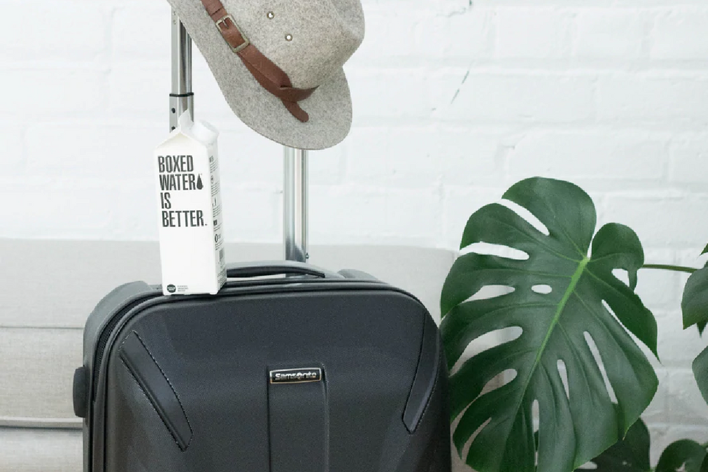 Noah's Guide: Caring for Your Plants While on Vacation.