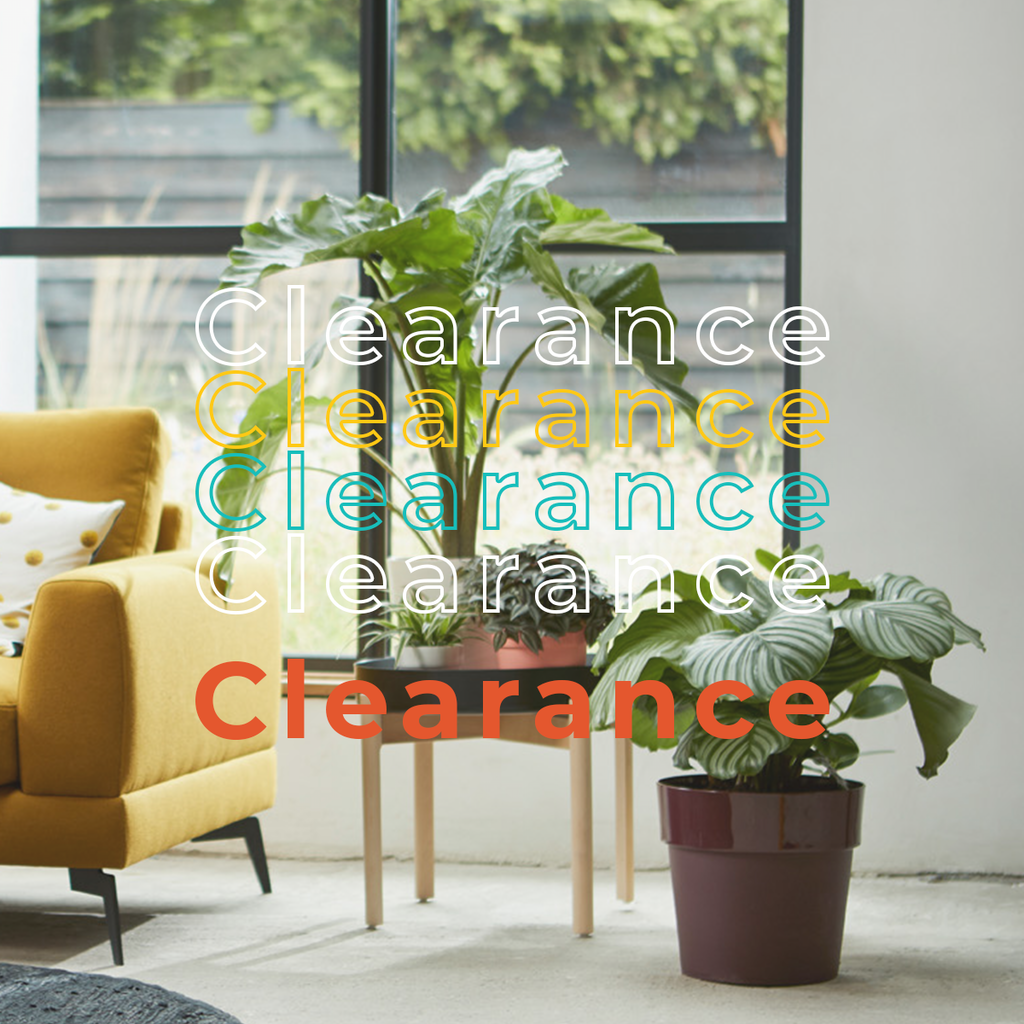 Clearance