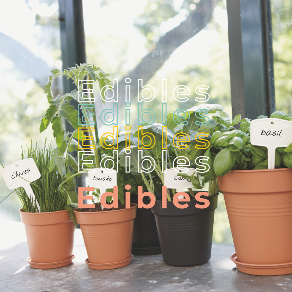 Edible and Herbs
