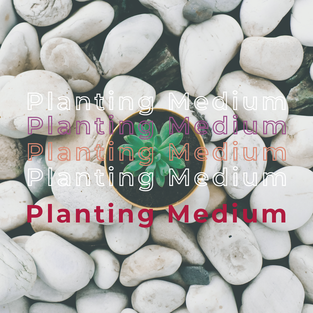 Planting Medium & Kit