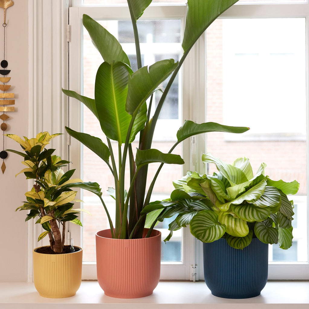 Style Your Plants With Elho