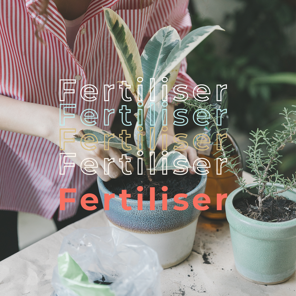 Gardening Supplies - Fertiliser & Pesticide