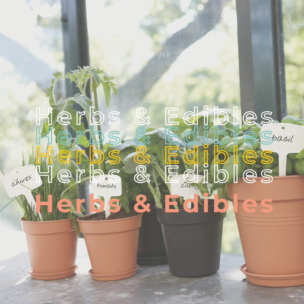 Herbs & Edibles