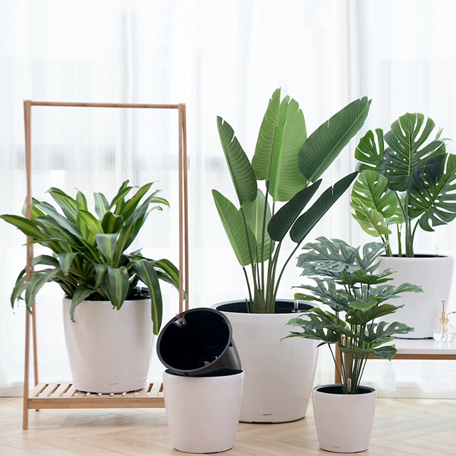 Leizisure Self-Watering Pots