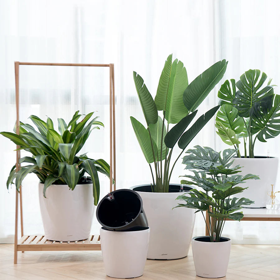 Plant in Style: Up To 50% off Our Selection of Minimalist Pots & Planters