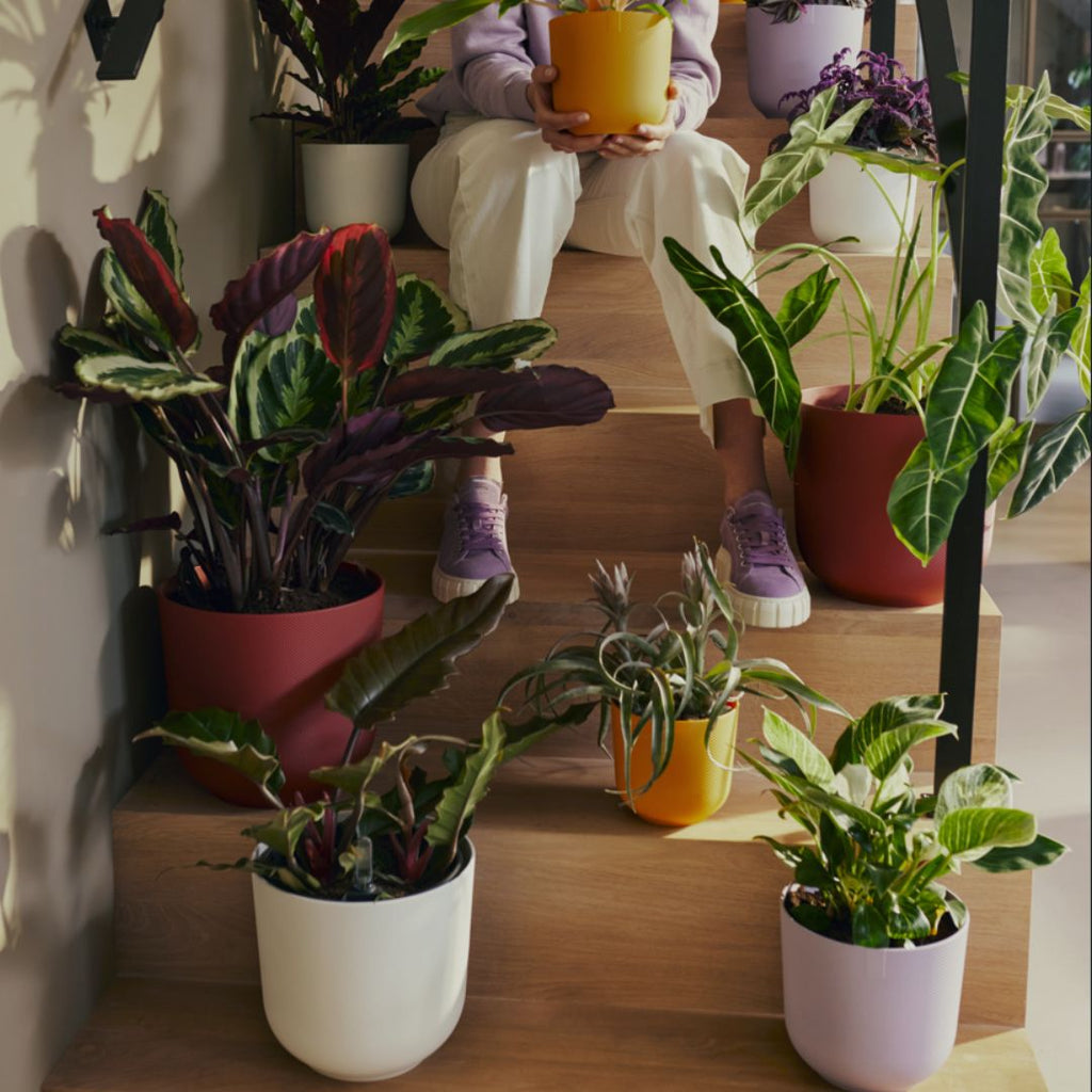 Earth Day Exclusive: Sustainable Plant Pots & Planters by Elho & Uashmama