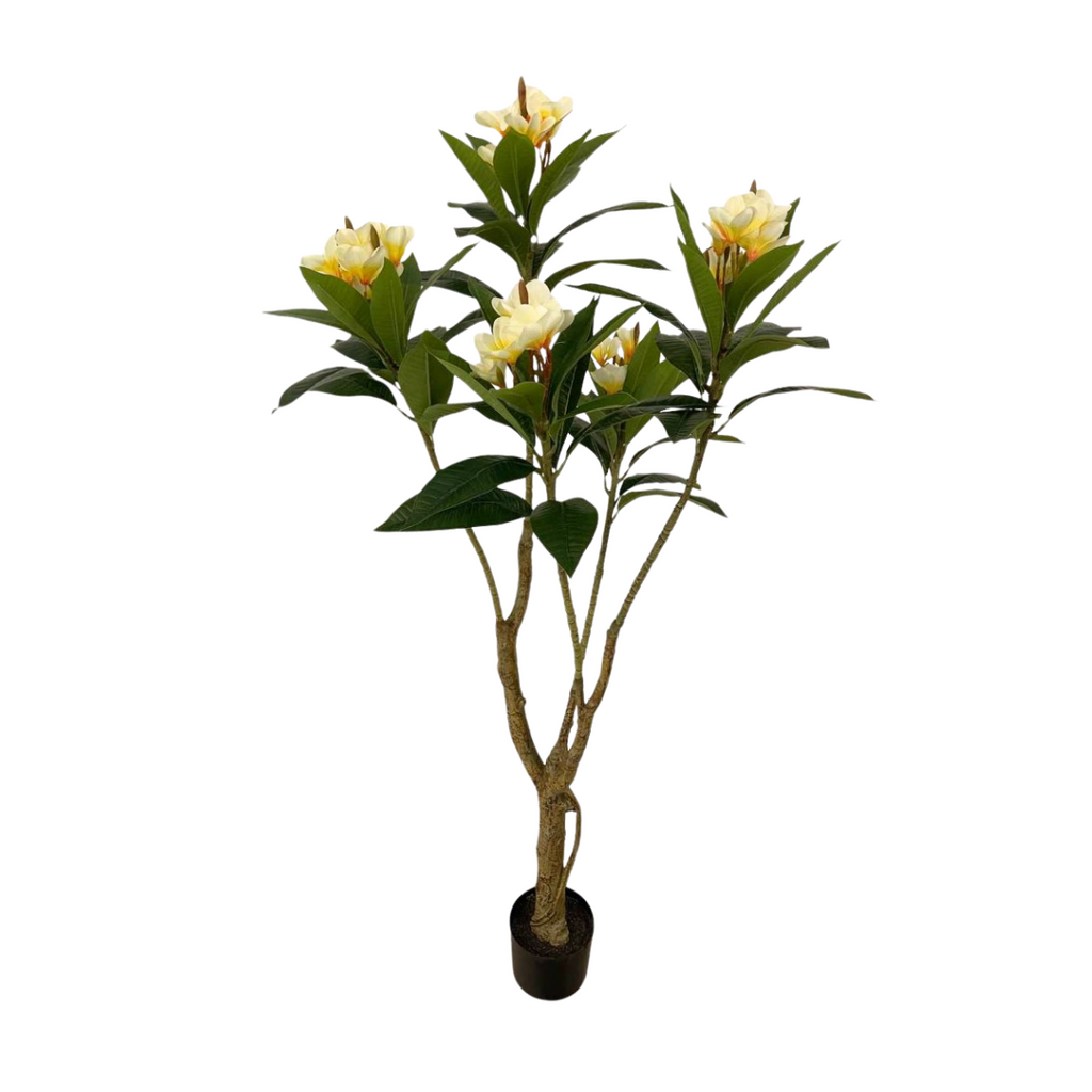 Artificial Frangipani (1.40mH)