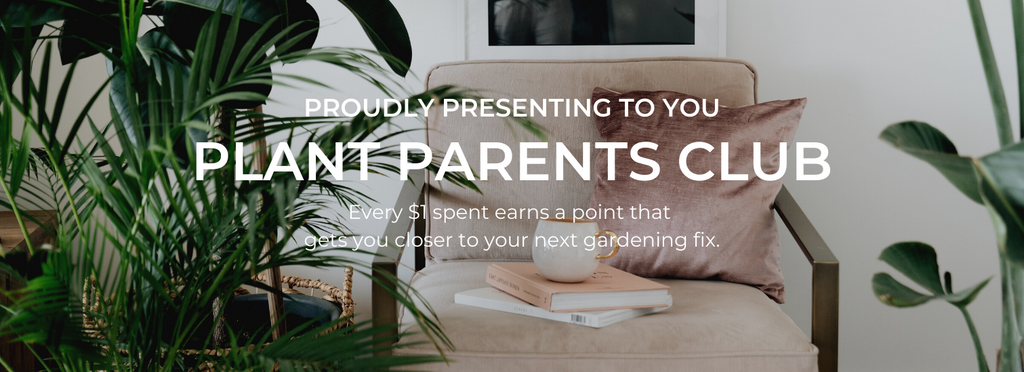 Noah Garden Centre - Plant Parents Club Membership Program