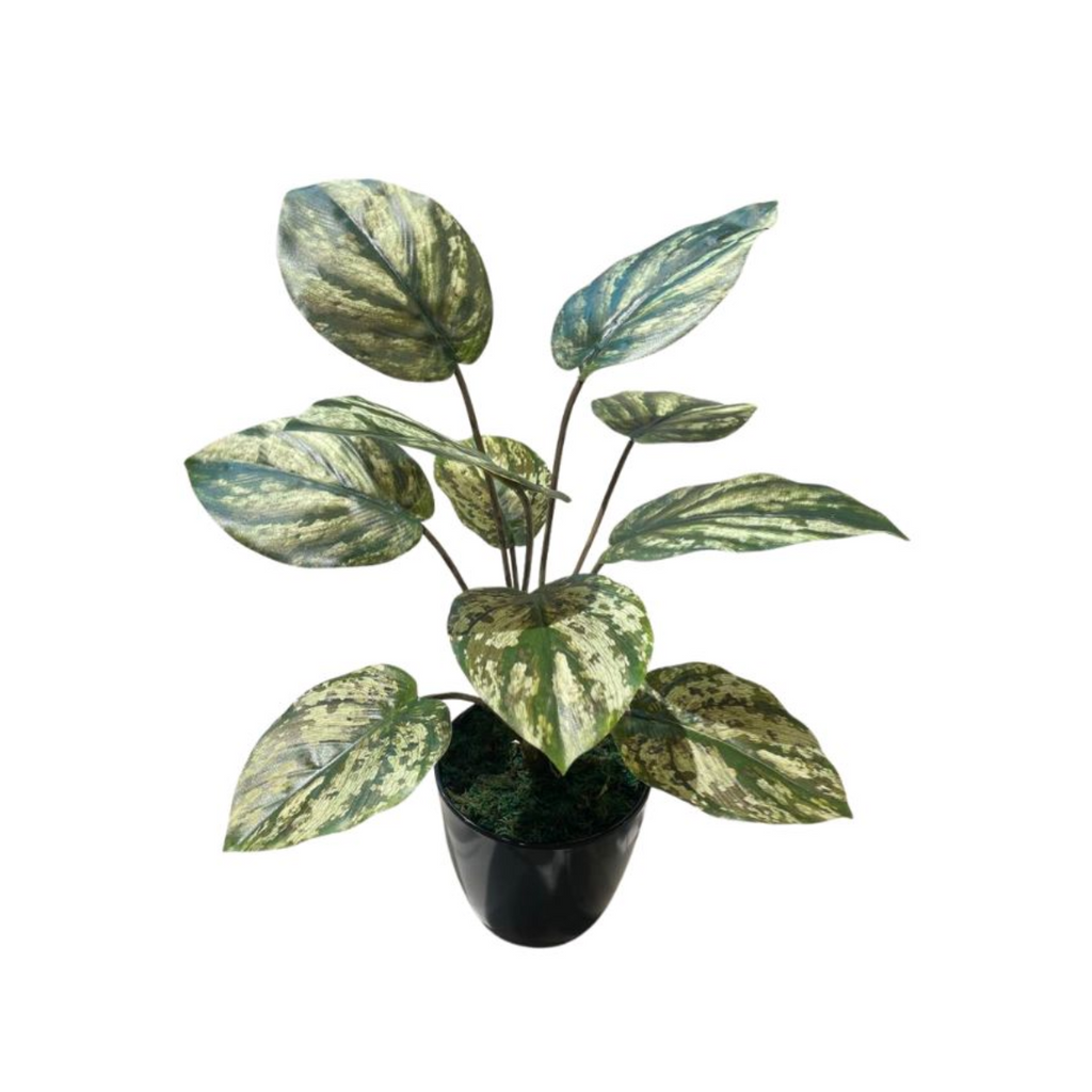 Artificial Variegated Philo in Pot (0.50mH)