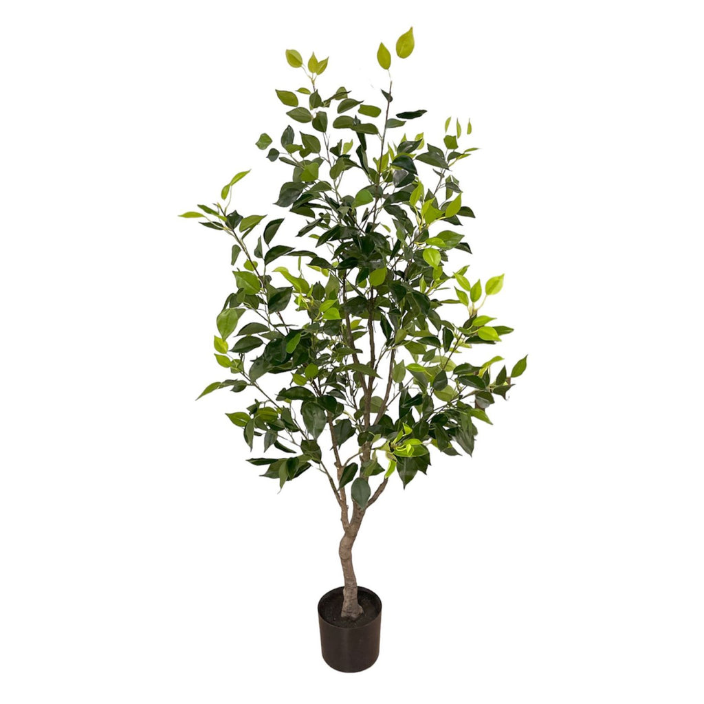 Artificial Ficus Plant (1.37m/ 4.5ft)