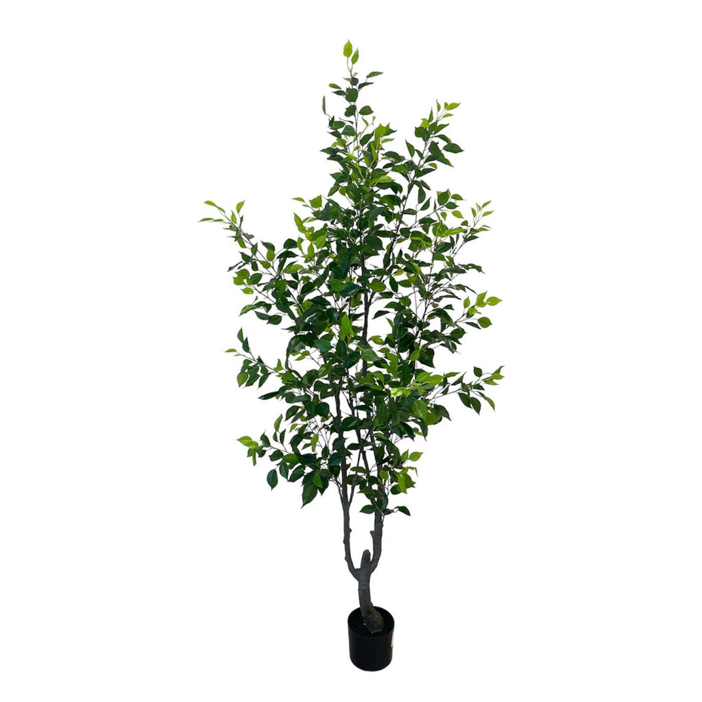 Artificial Ficus Plant (1.98m)
