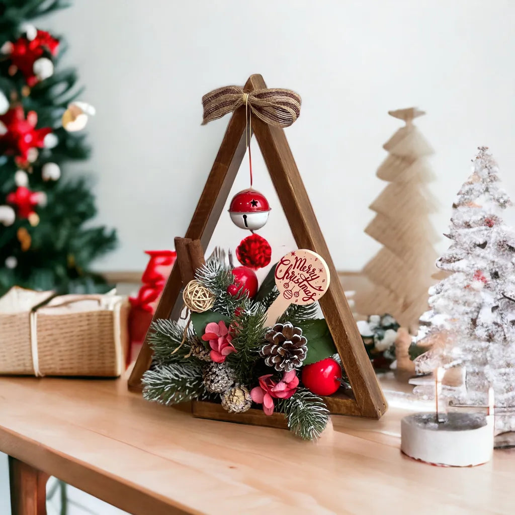 Christmas Airplant Frame DIY Kit