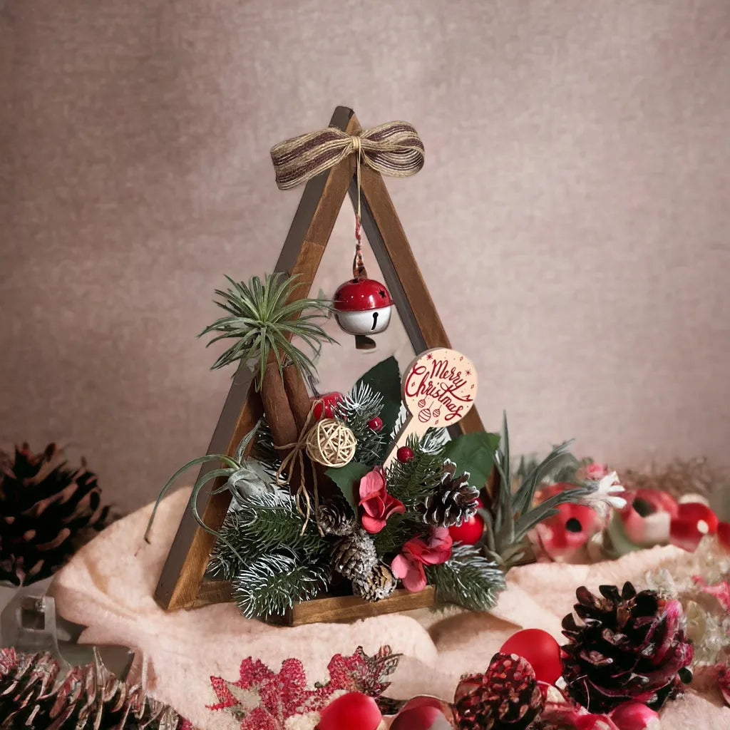 Christmas Airplant Frame DIY Kit