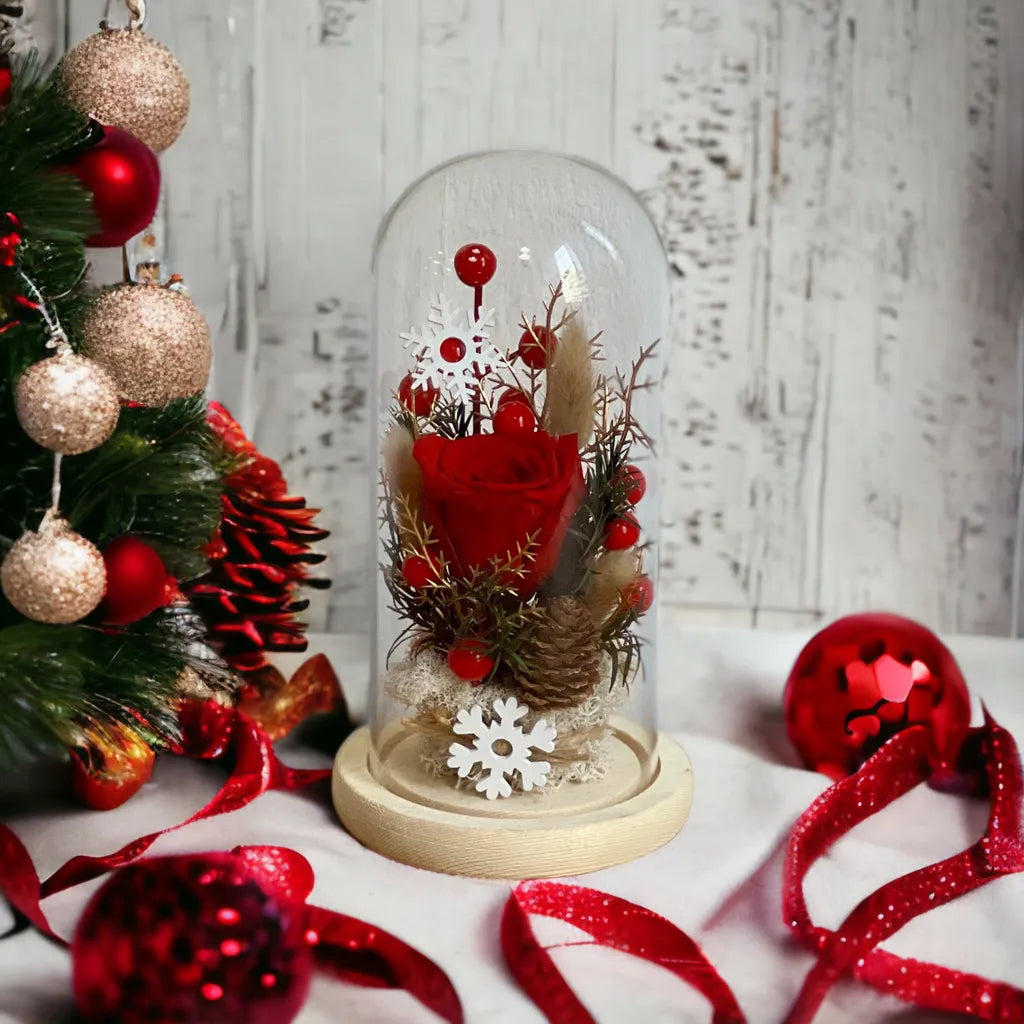 Christmas Preserved Flower Dome
