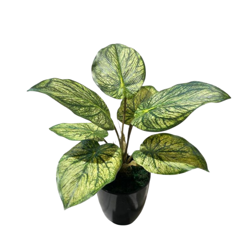 Artificial Caladium Green in Pot (0.35mH)