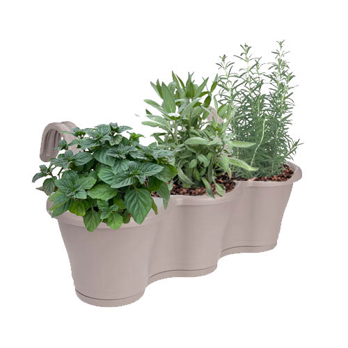 Fragrant Herbs in Taupe Corsica Easy Hanger Trio