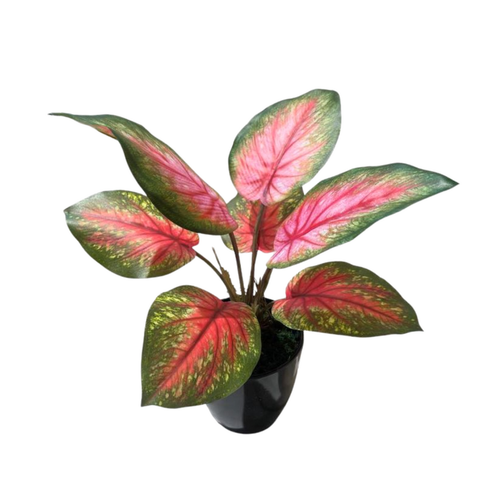 Artificial Caladium in Pot (0.35mH)