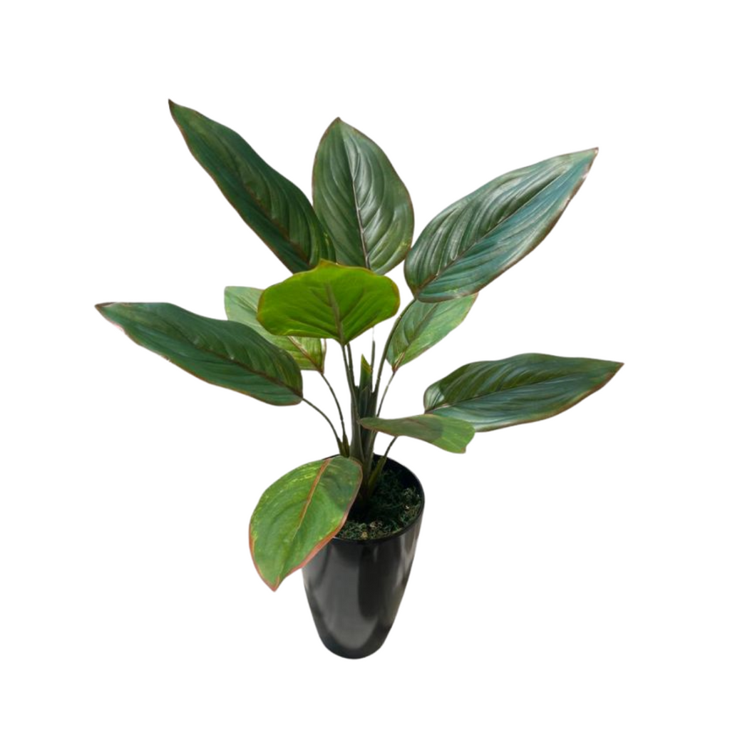 Artificial Aglaonema Crete in Pot (0.6mH)