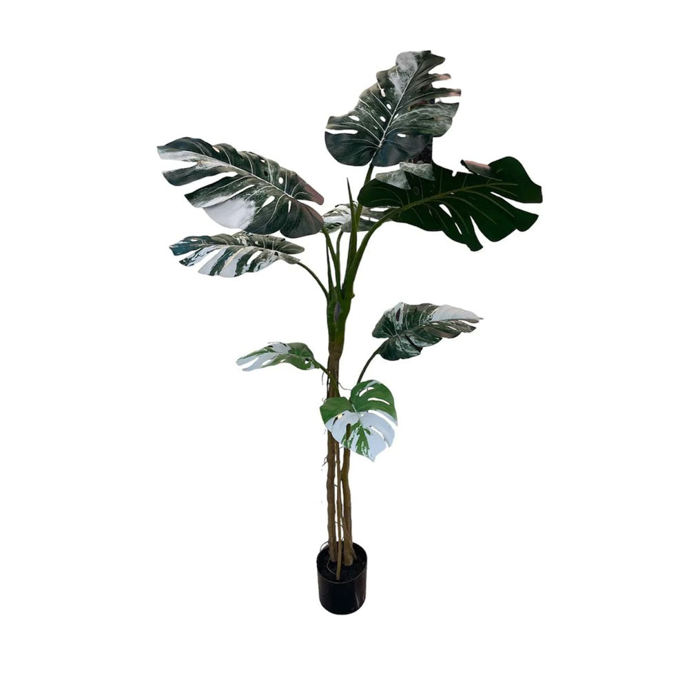 Artificial Varigated Monstera Plant (1.6m)