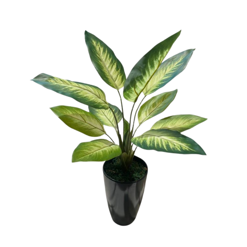 Artificial Dieffenbachia Camilla in Pot (0.6mH)