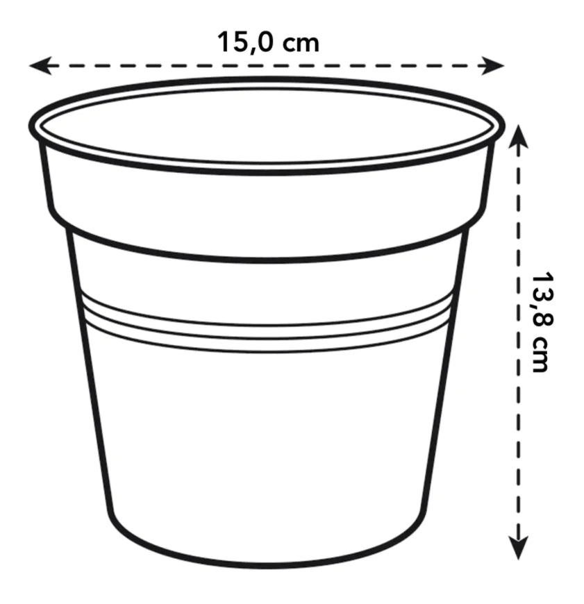 Green Basics Growpot 15cm in Living Black with 14cm saucer