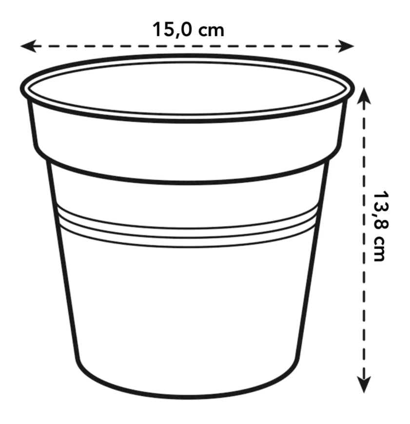 Green Basics Growpot 15cm in Leaf Green with 14cm Saucer