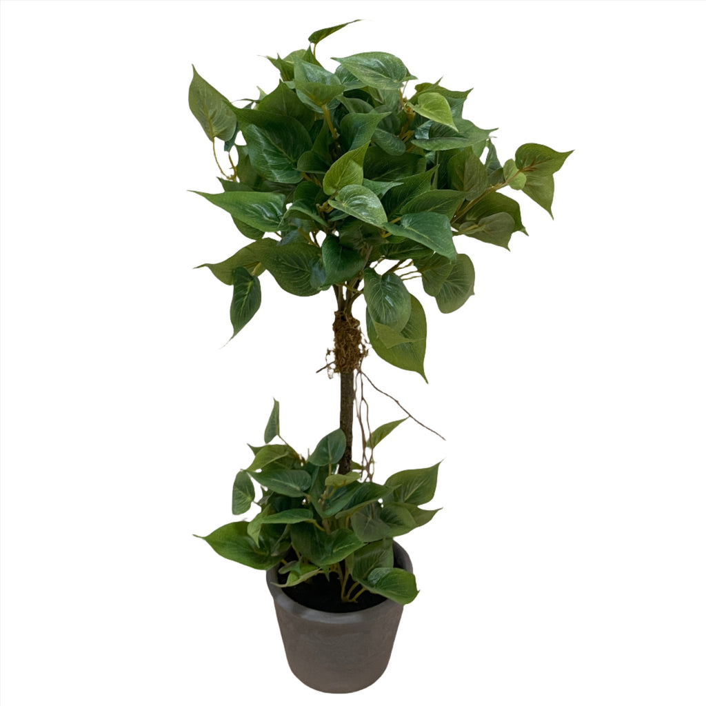 Artificial Two Layered Pothos Ball (0.5m)