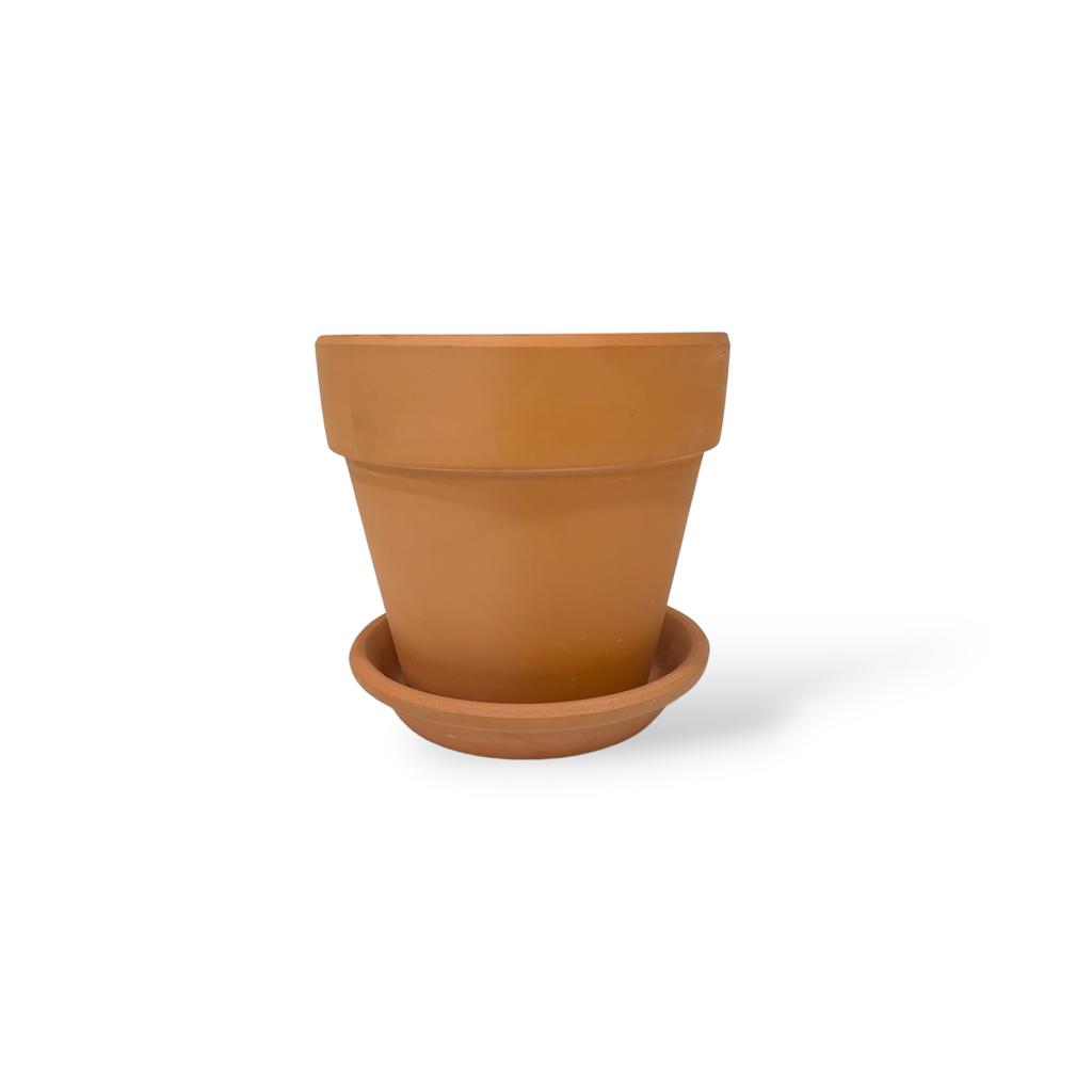 Plain Terracotta Pot 12cm