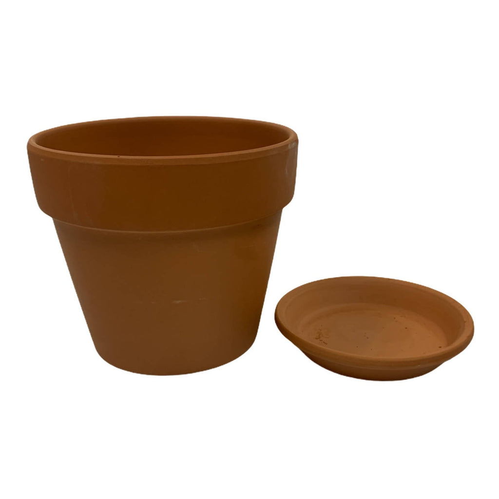 Plain Terracotta Pot 12cm