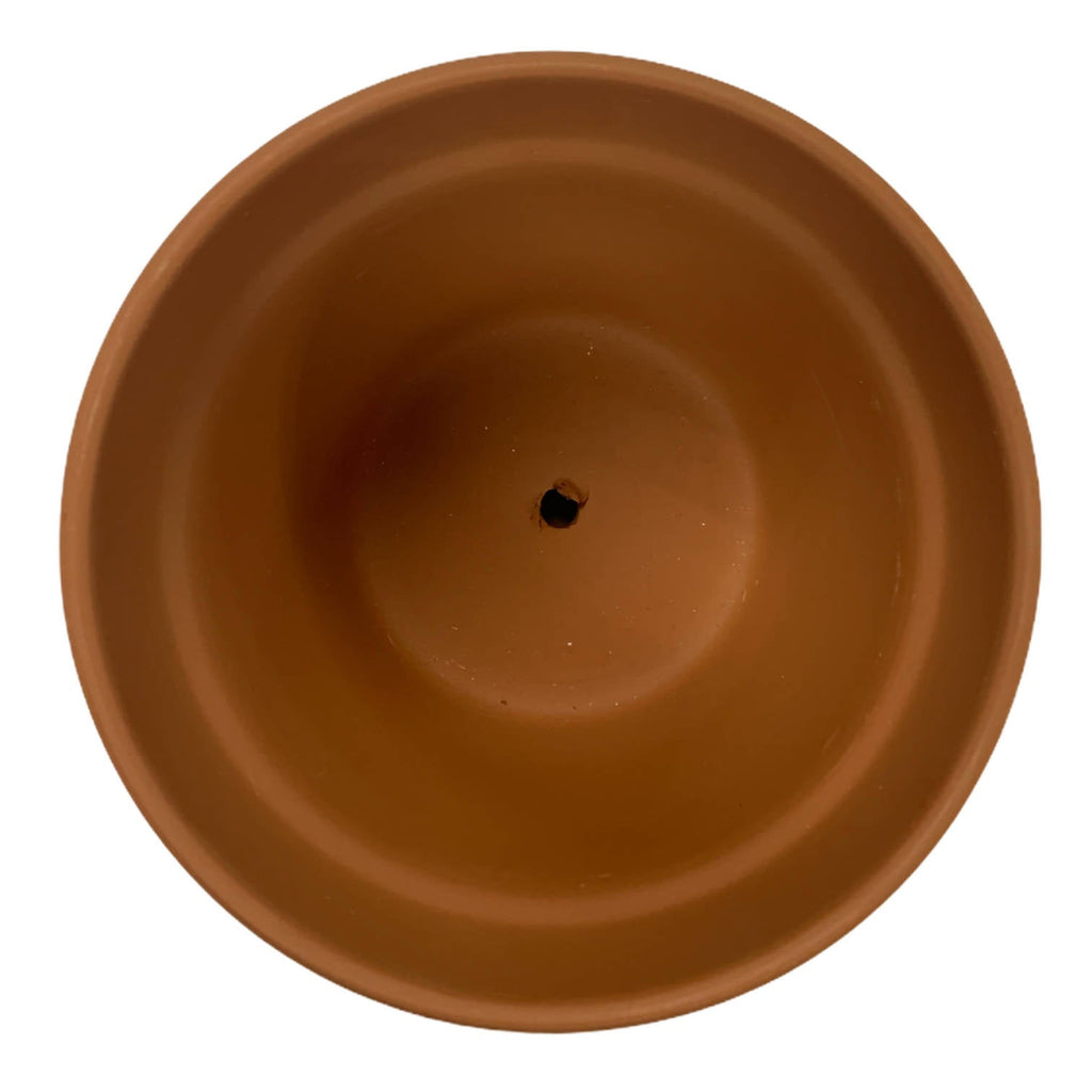 Plain Terracotta Pot 12cm