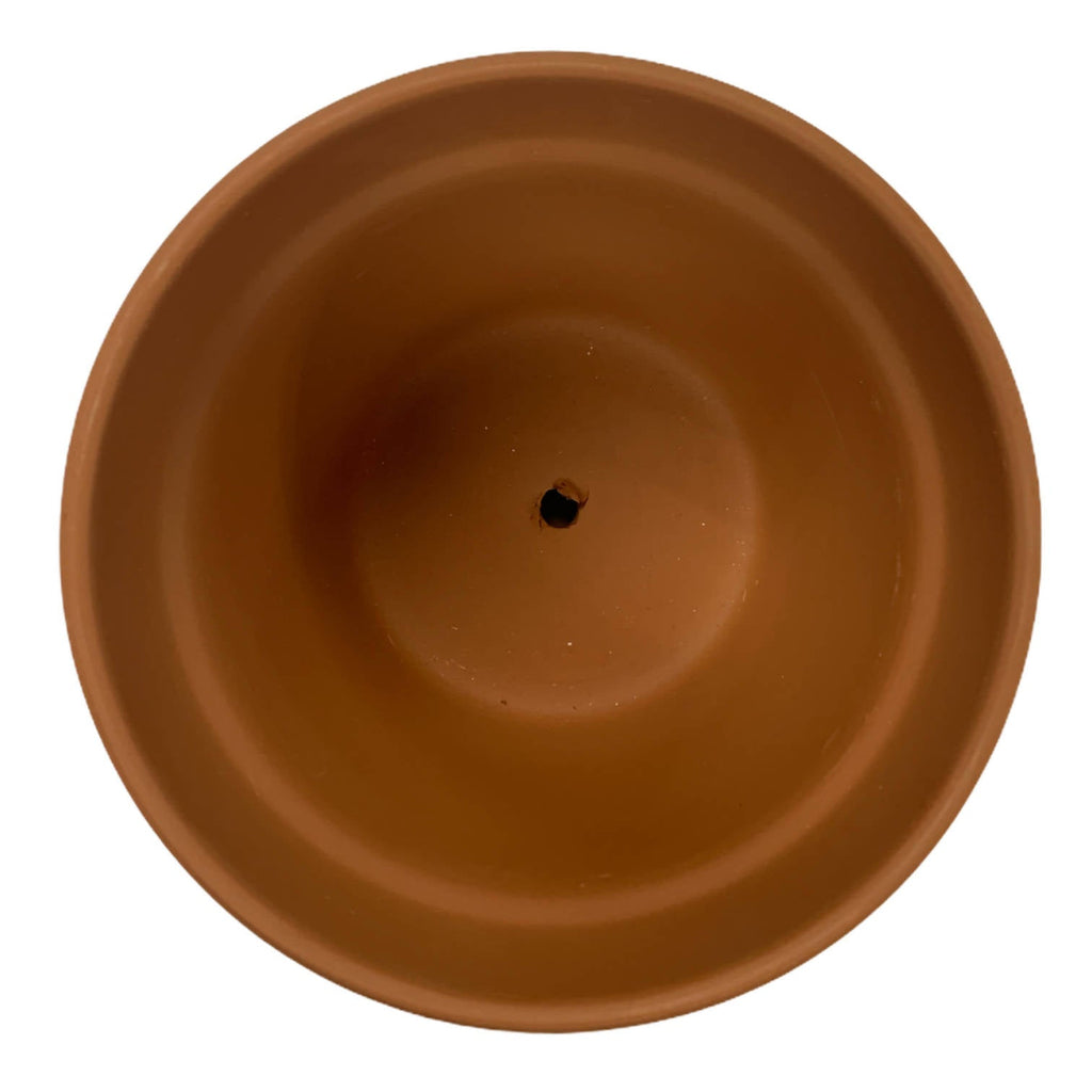 Plain Terracotta Pot 12cm