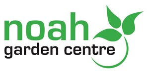 Noah Garden Centre